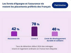 La détention de patrimoine des ménages en 2024